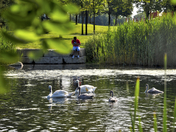 Drop your mobile phone