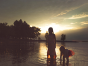 Silhouettes in summer 