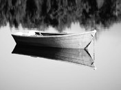 Early Morning Reflection