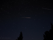 Perseid Fire Tail