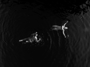 Lucid Dreaming In Dark Waters