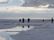 Playing around the ice in late June in the high arctic
