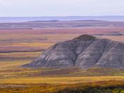 Fall Colours - 1120787