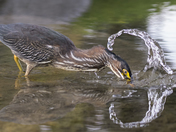 Mother nature has a sense of humour!!