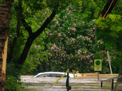 Elbow River Swimway - Calgary-AB 2013