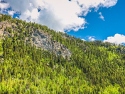 Stillness of the Morning