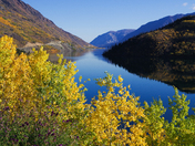 Autum in the Yukon