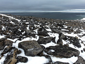 Qausuittuq, The new National Park on Bathurst Island, 