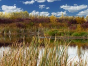 A Splash of Fall Colors