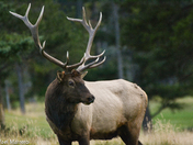 up close with this huge beast 