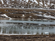 Somerset Island Ashton Bay