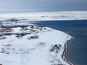 Bathurst Island Qausuittuq National Park