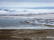 Bathusrt Island Qausuittuq National Park