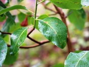 I'm Ready for my Close Up