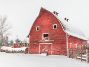Red Barn