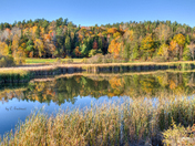 Reflections of Autumn