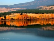 Autumn Reflection