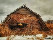 Looking Thru the Window