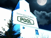 Disappearing Prairie Sentinel