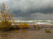 The Winds of November