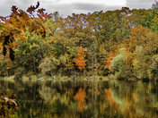 Autumn At the Mill Pond