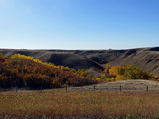 Prairie Coulee
