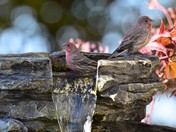 Don't Pout, you are next!