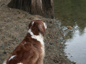 Waiting for his Buddy