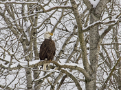 Watching and Waiting