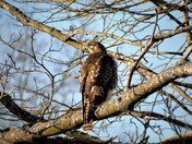 Looking over my shoulder