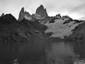 Patagonian Majesty