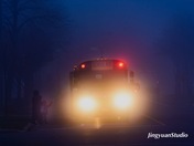 School bus in the fog
