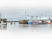 Wedgeport Tuna Wharf