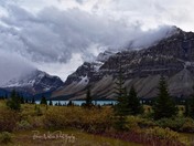 Bow Lake, Alberta