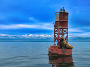 Isolated From Mainland