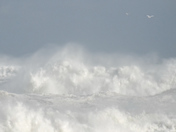 January Nor'Easter in Nova Scotia