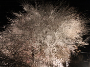 Wonders of winter at -30 c.