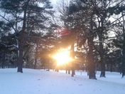 Sceeching sunlight in winter