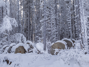Winter in Watson Lake