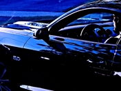 NEW PONY IN THE STABLE