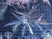 Frost Feathers & Ice