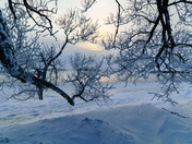 Extending a cold branch