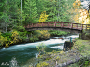 Little Qualicum Falls Provincial Park