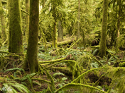 A river runs through it...