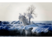 When Winter Comes Howling In