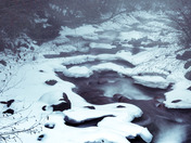 A Chilly Misty Morning