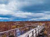 The Board Walk