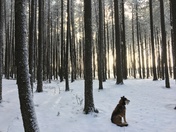 January Afternoon hike