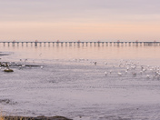 Picture Perfect Morning