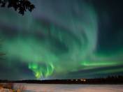 Aurora Dances the Peppermint Twist